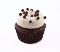 cupcake chocolate praline 