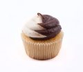 cupcake chocolate swirl 