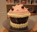 cupcake dev cupcake 