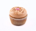 cupcake apricot & cinnamon 