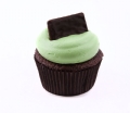 cupcake mint chocolate 