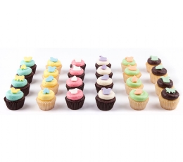cupcake Doğum Paketi