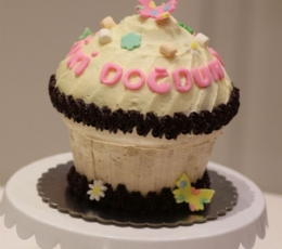 cupcake dev cupcake