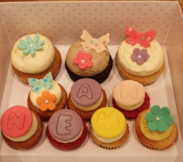 cupcake Anneler gunu paketi