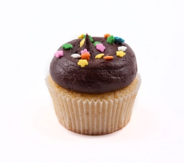cupcake vanilla & chocolate