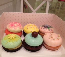 cupcake markafoni cekimi 