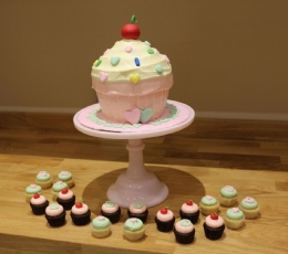 cupcake dev cupcake & minileri